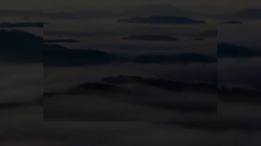 Company introduction