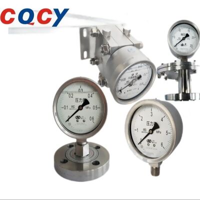 ExdIIBT4 YTH-100 Pressure Instrument